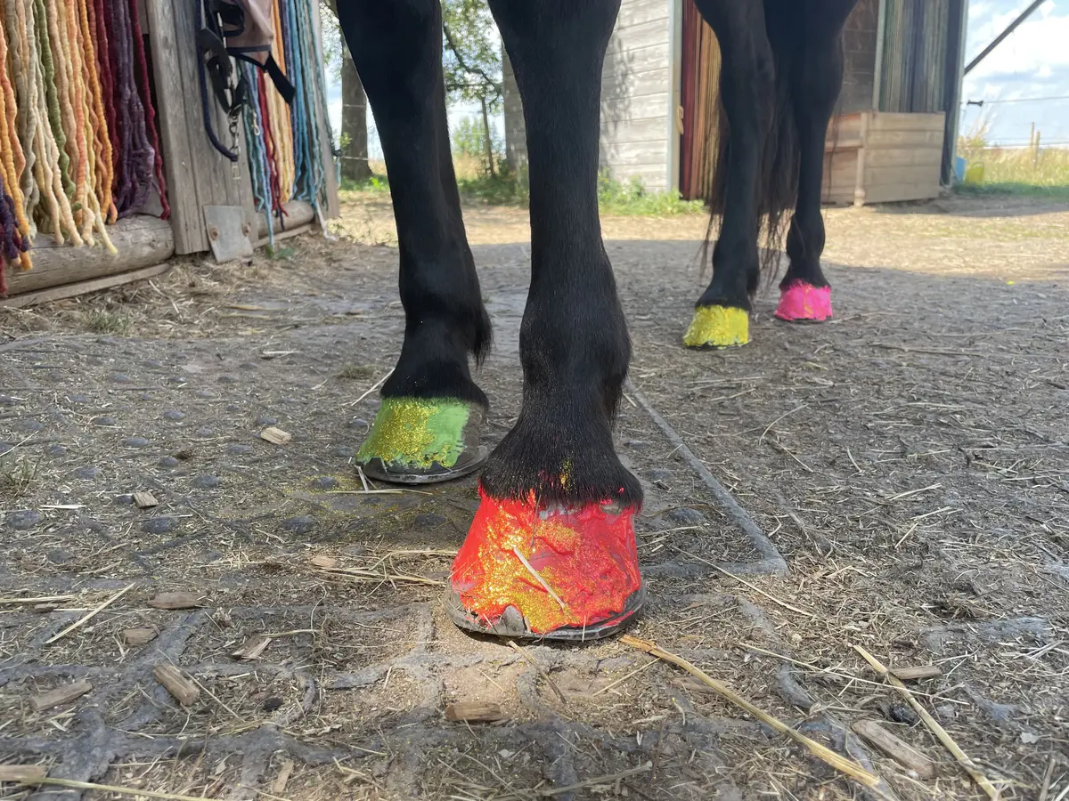 Kinder bemalen die Hufe der Ponys bunt mit Glitzerfarbe